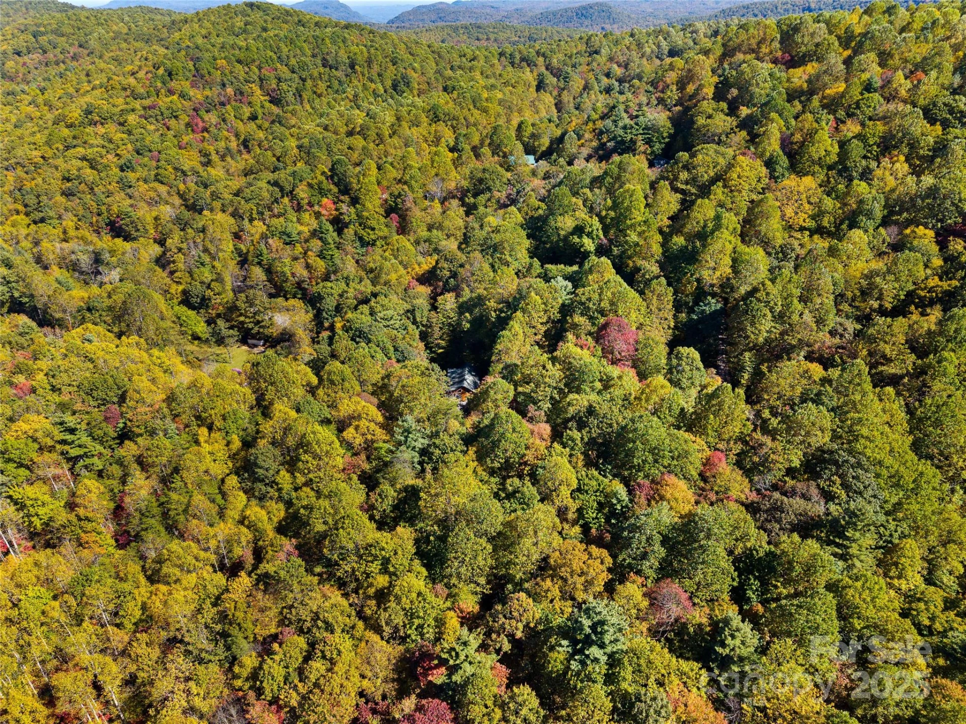 1308 Bell Mountain Road - Photo 38