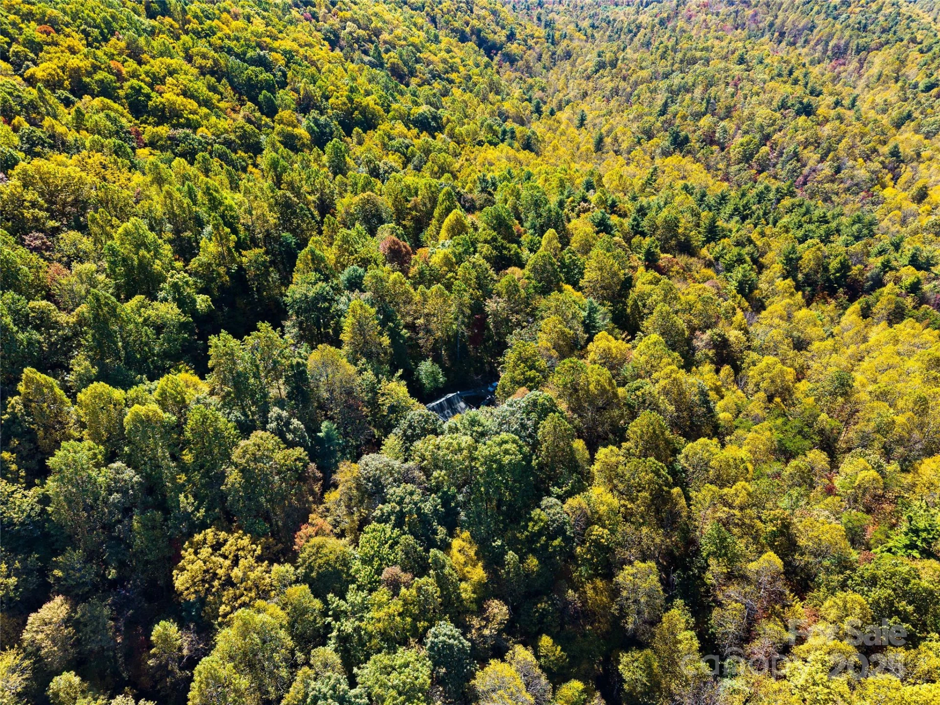 1308 Bell Mountain Road - Photo 39