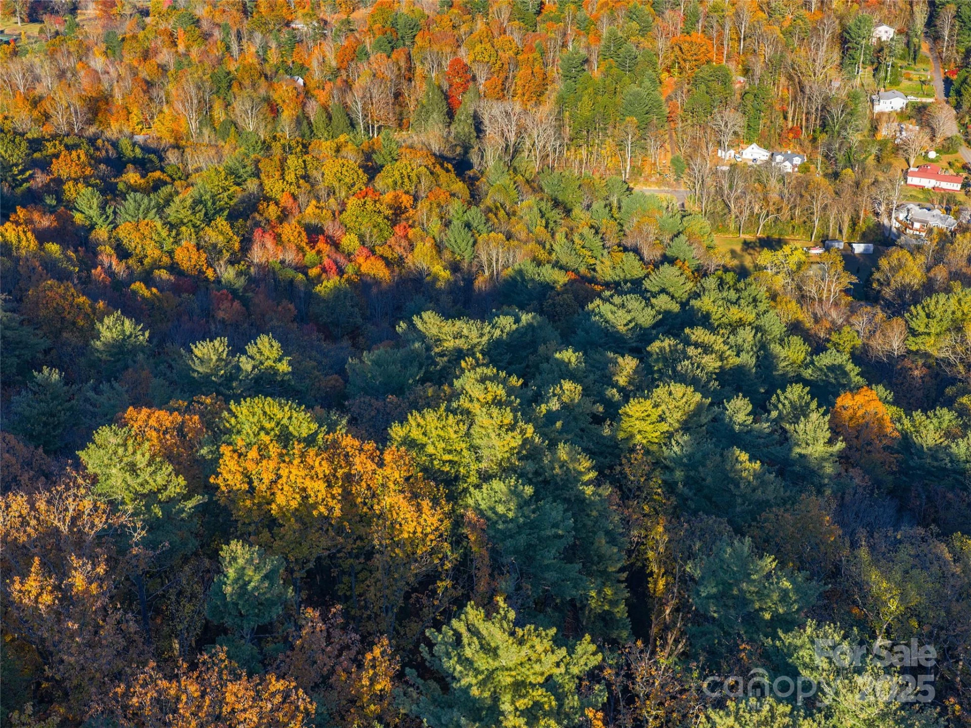 51 Rice Branch Road - Photo 2
