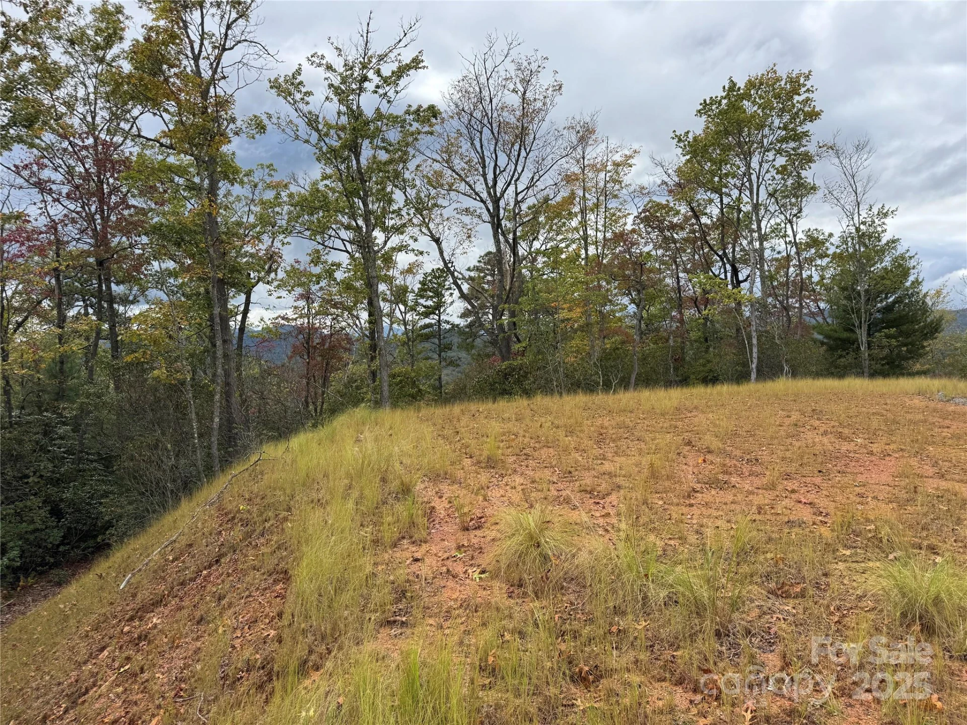 00 Normcol Road - Photo 9