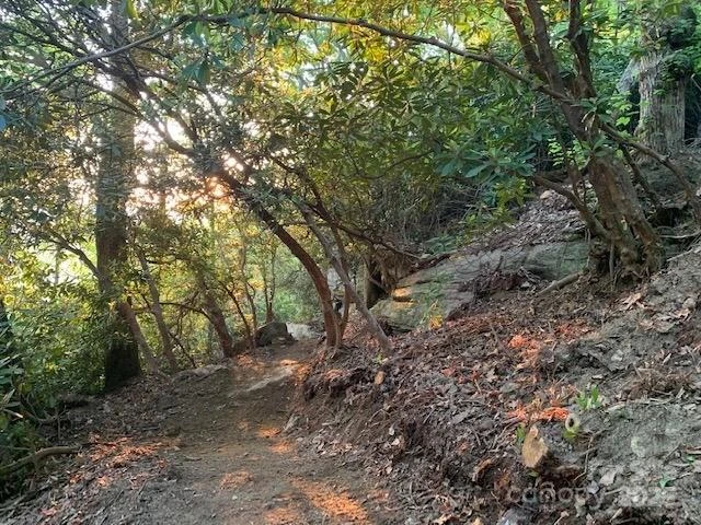 Lot 64 Feather Stone Drive - Photo 8
