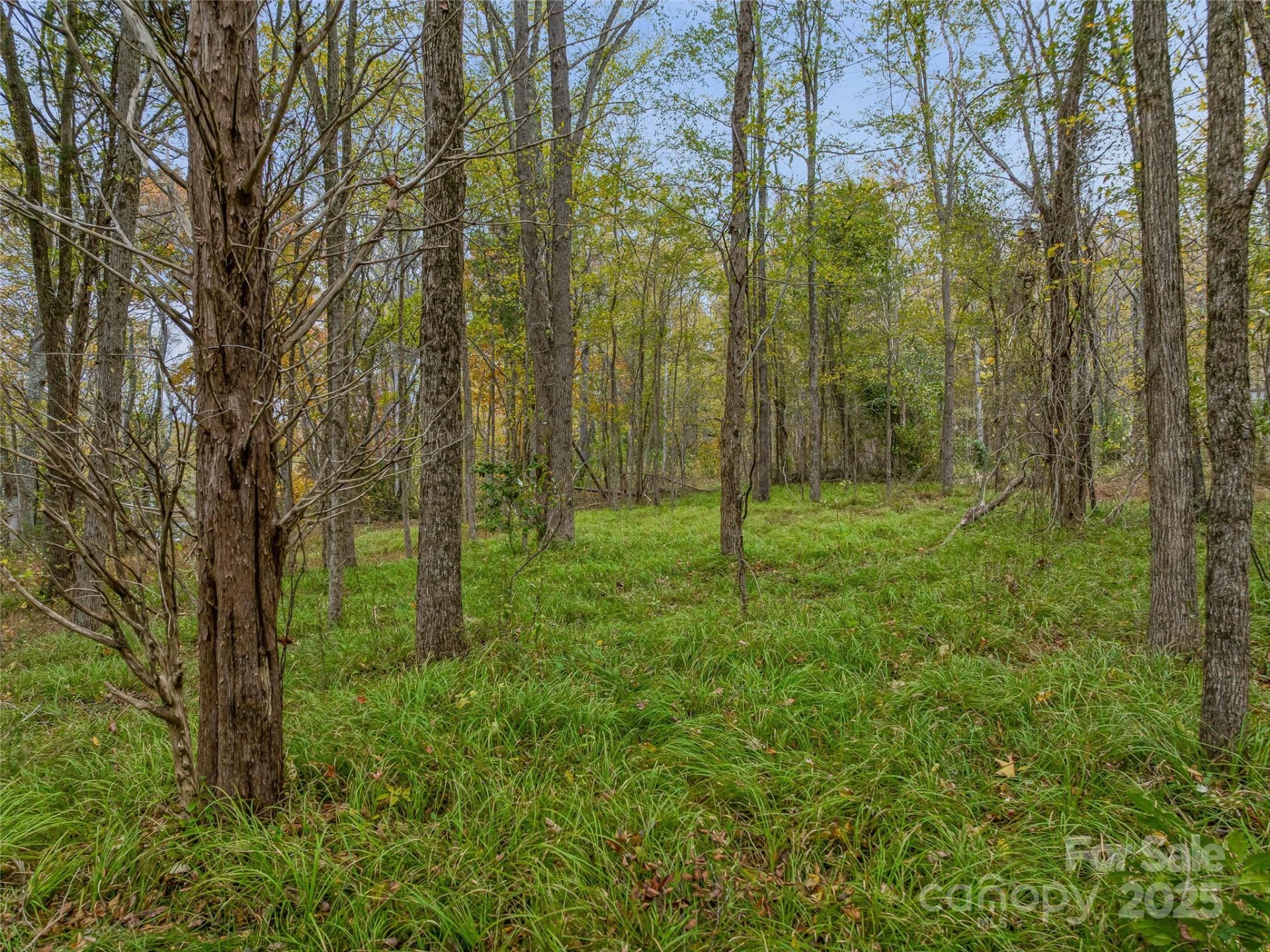 1640, 1641, 1642 River Road - Photo 48