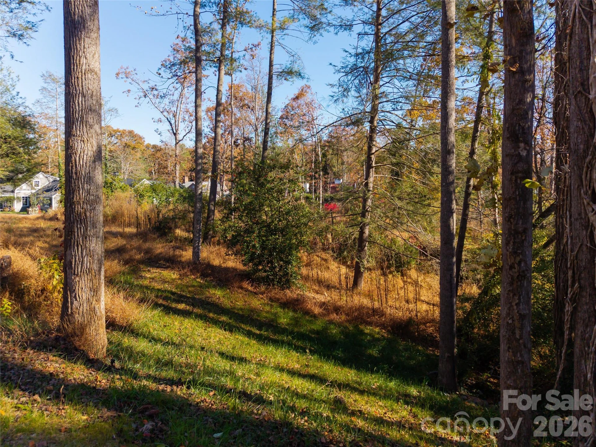 50 Forest Road - Photo 3