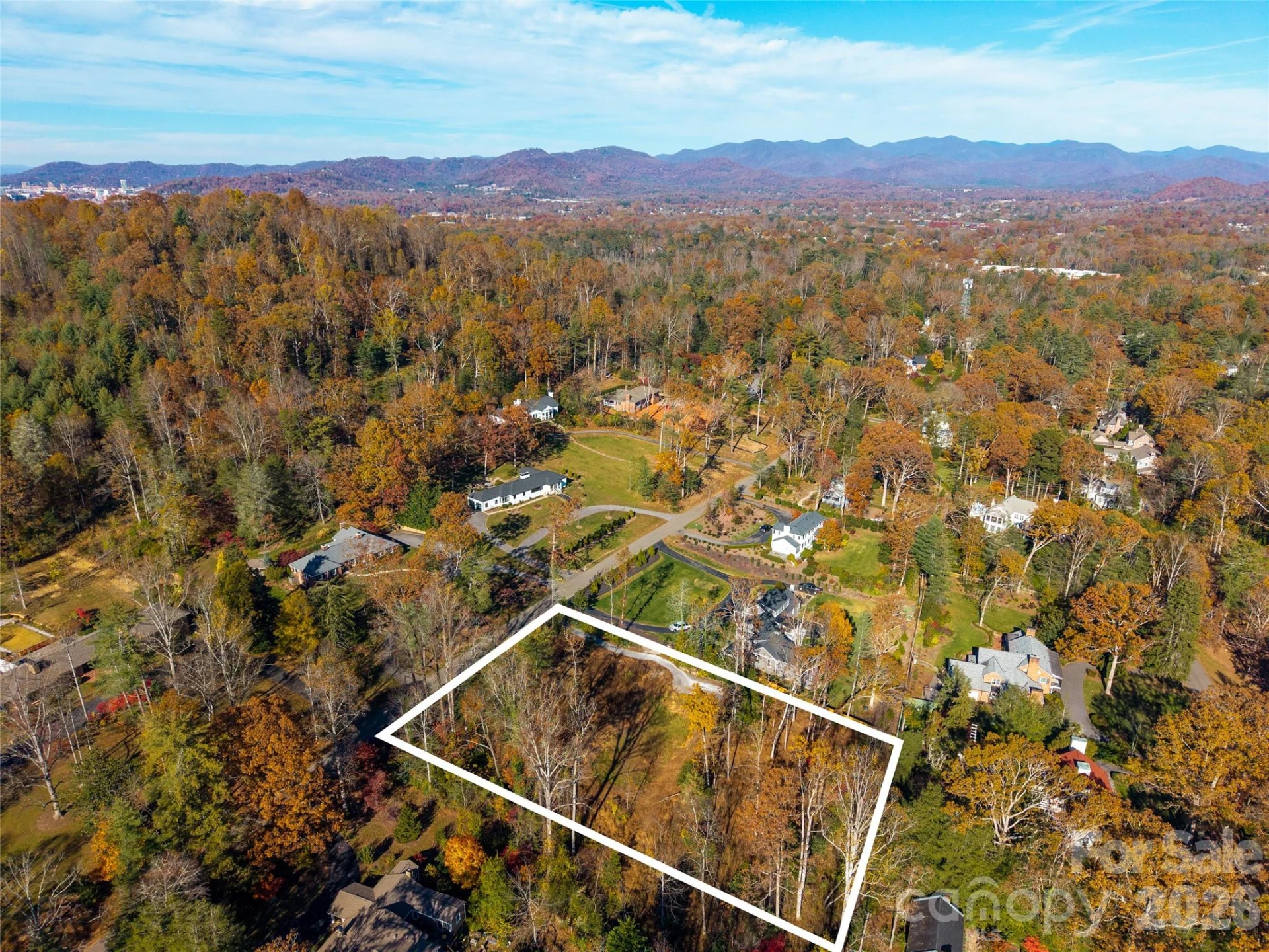50 Forest Road - Photo 5