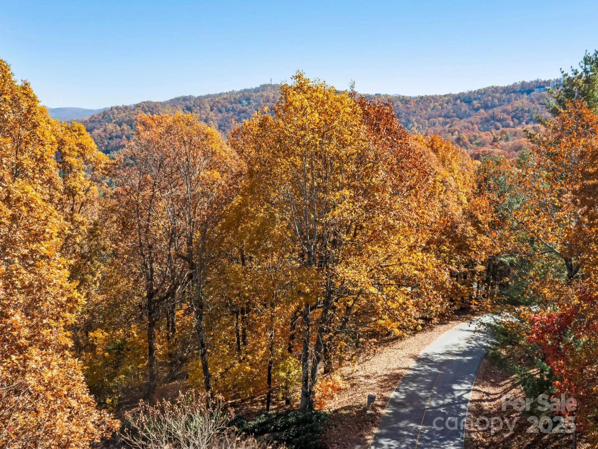 707 Overlook Drive