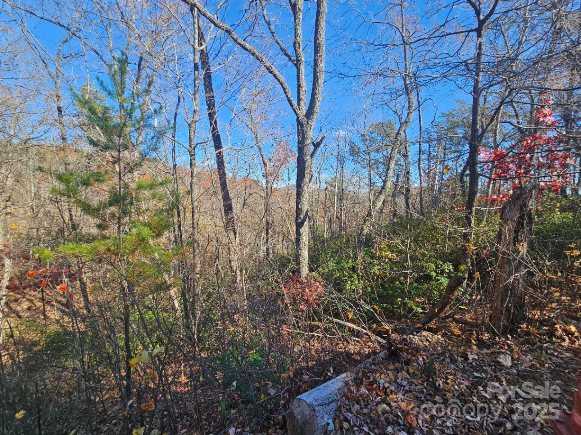 0 Lure Ridge Drive #1 - Photo 4