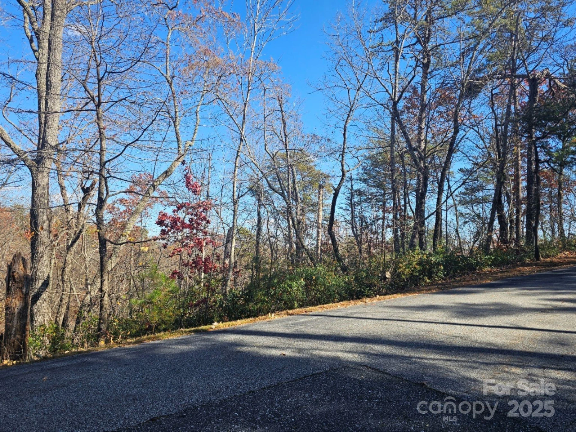 0 Lure Ridge Drive #1 - Photo 5