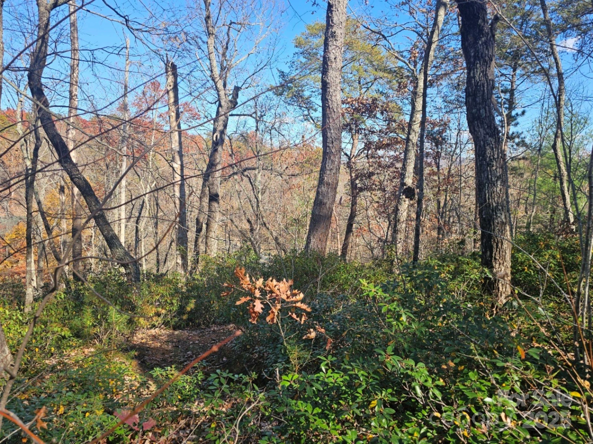 0 Lure Ridge Drive #1 - Photo 6