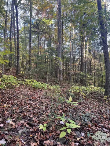 9999 Fox Town Road, Hot Springs, NC, 28743