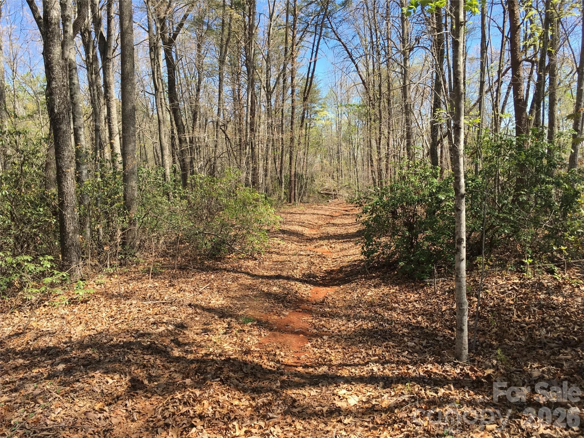 00 Lytle Mountain Road - Photo 3