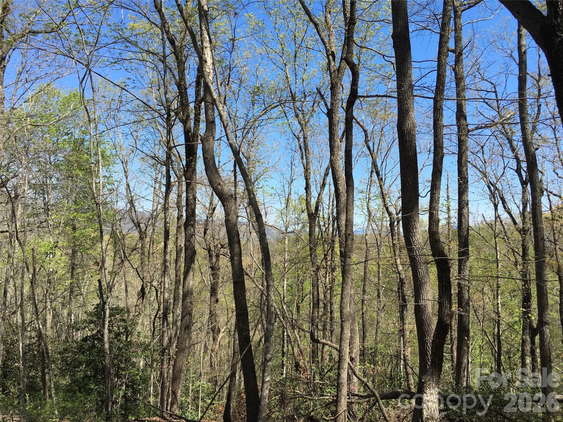 00 Lytle Mountain Road - Photo 21