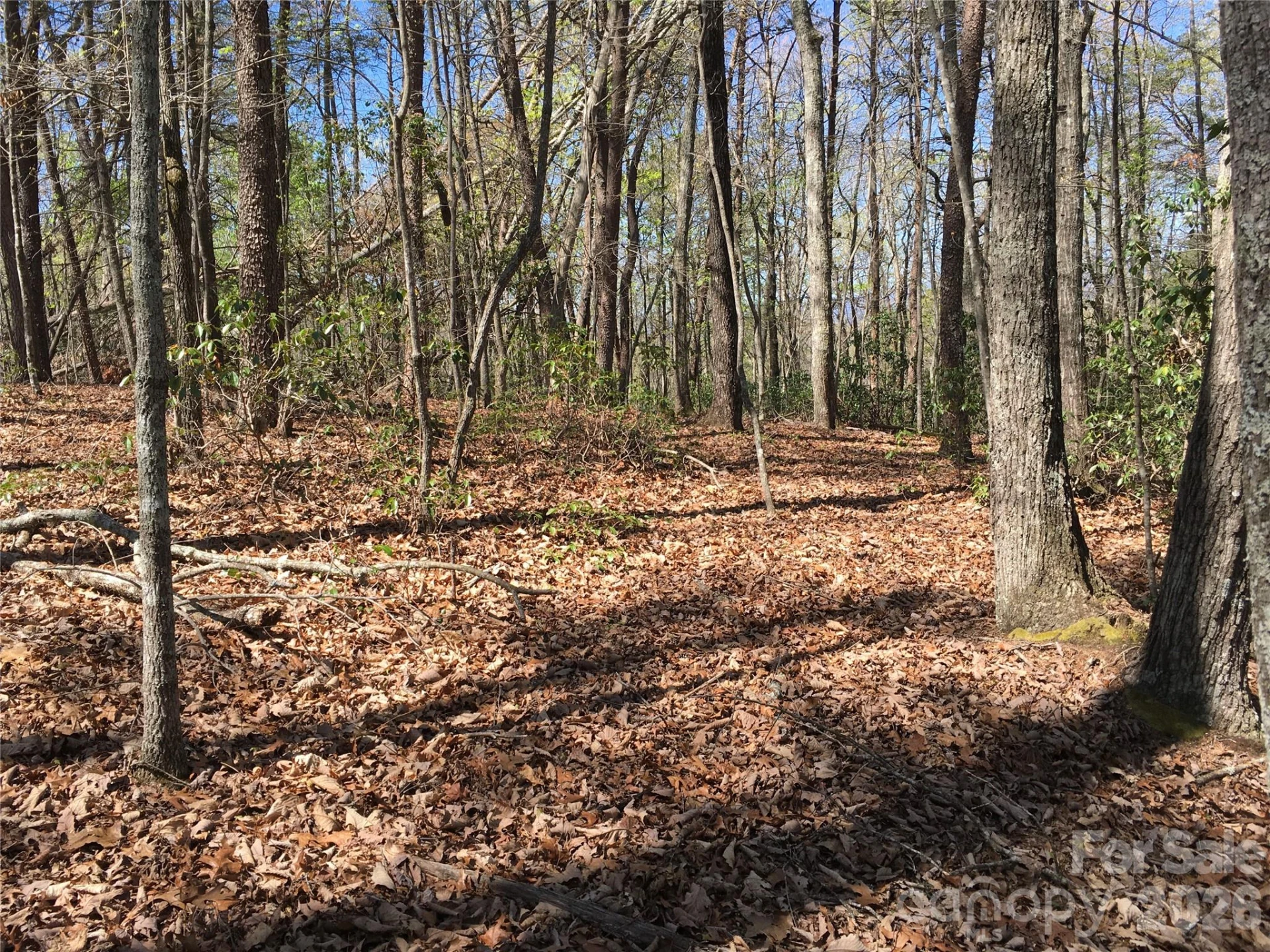 00 Lytle Mountain Road - Photo 5