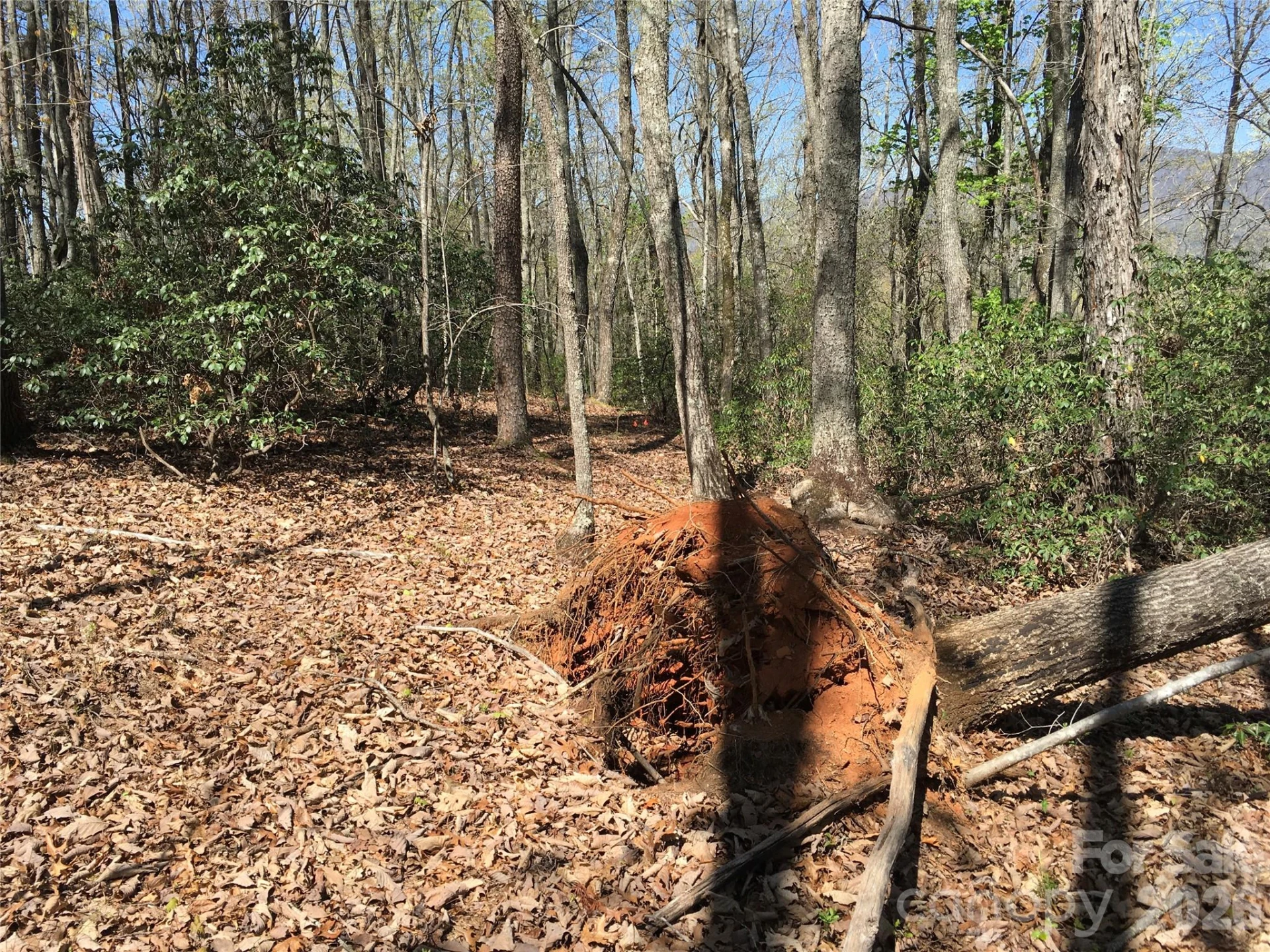 00 Lytle Mountain Road - Photo 33