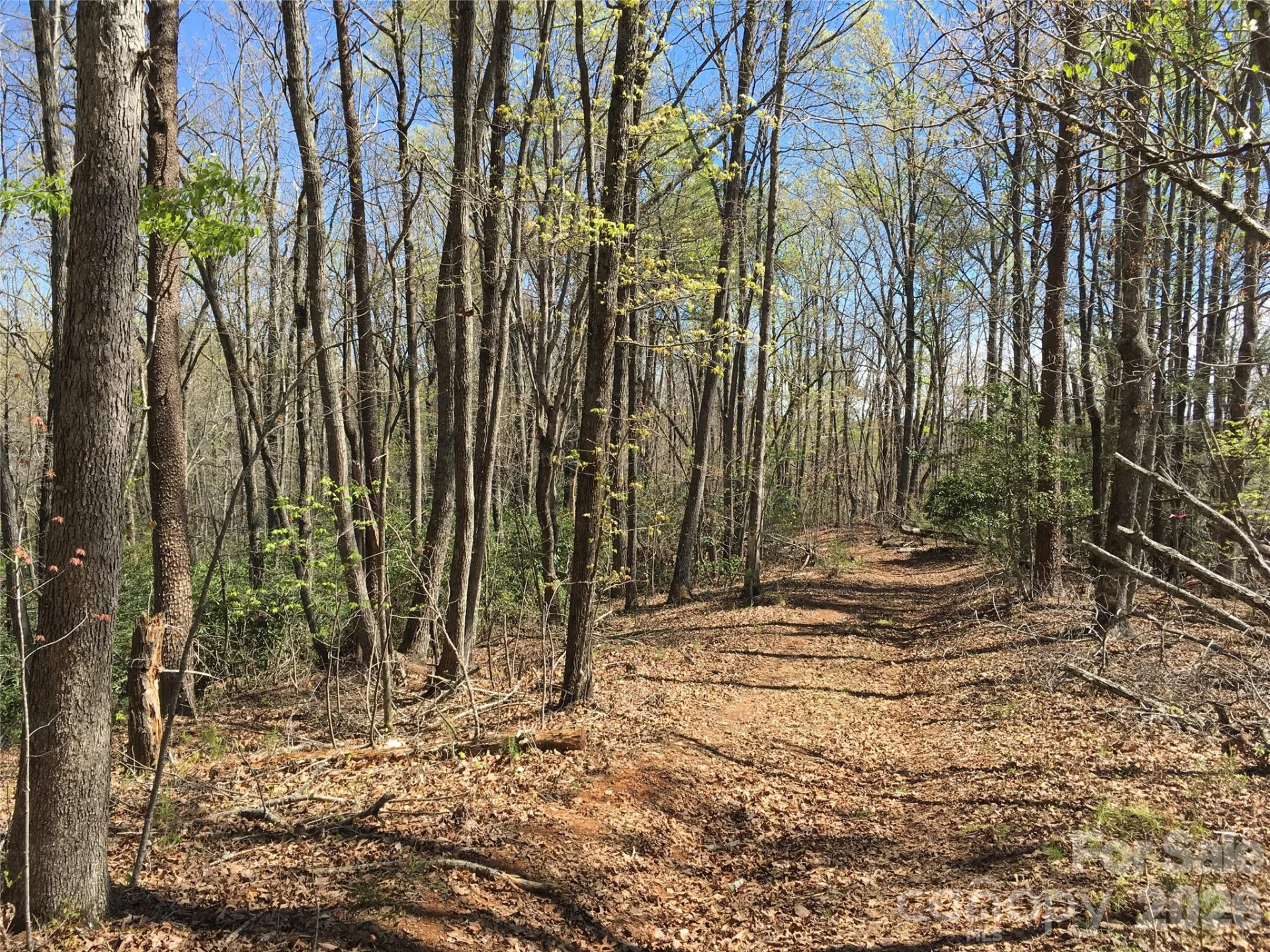 00 Lytle Mountain Road - Photo 7