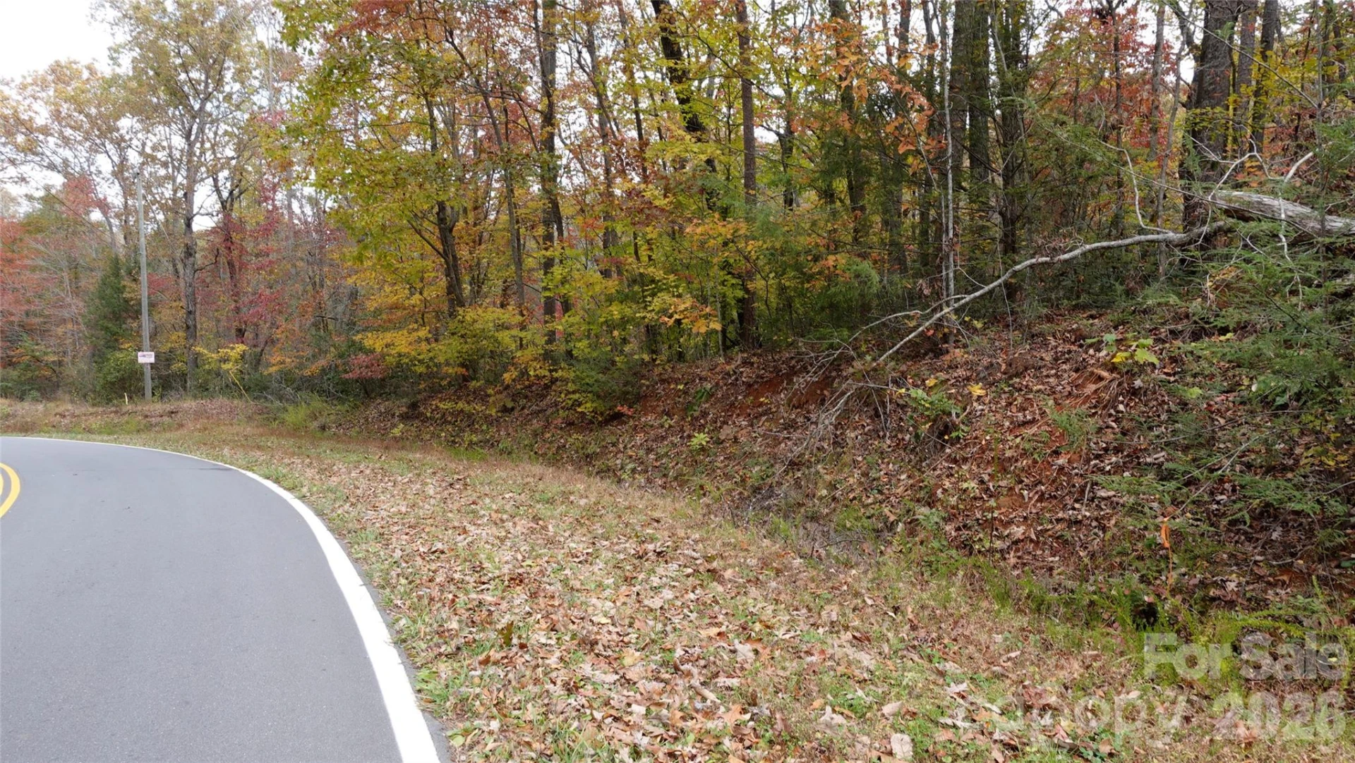 00 Lytle Mountain Road - Photo 46