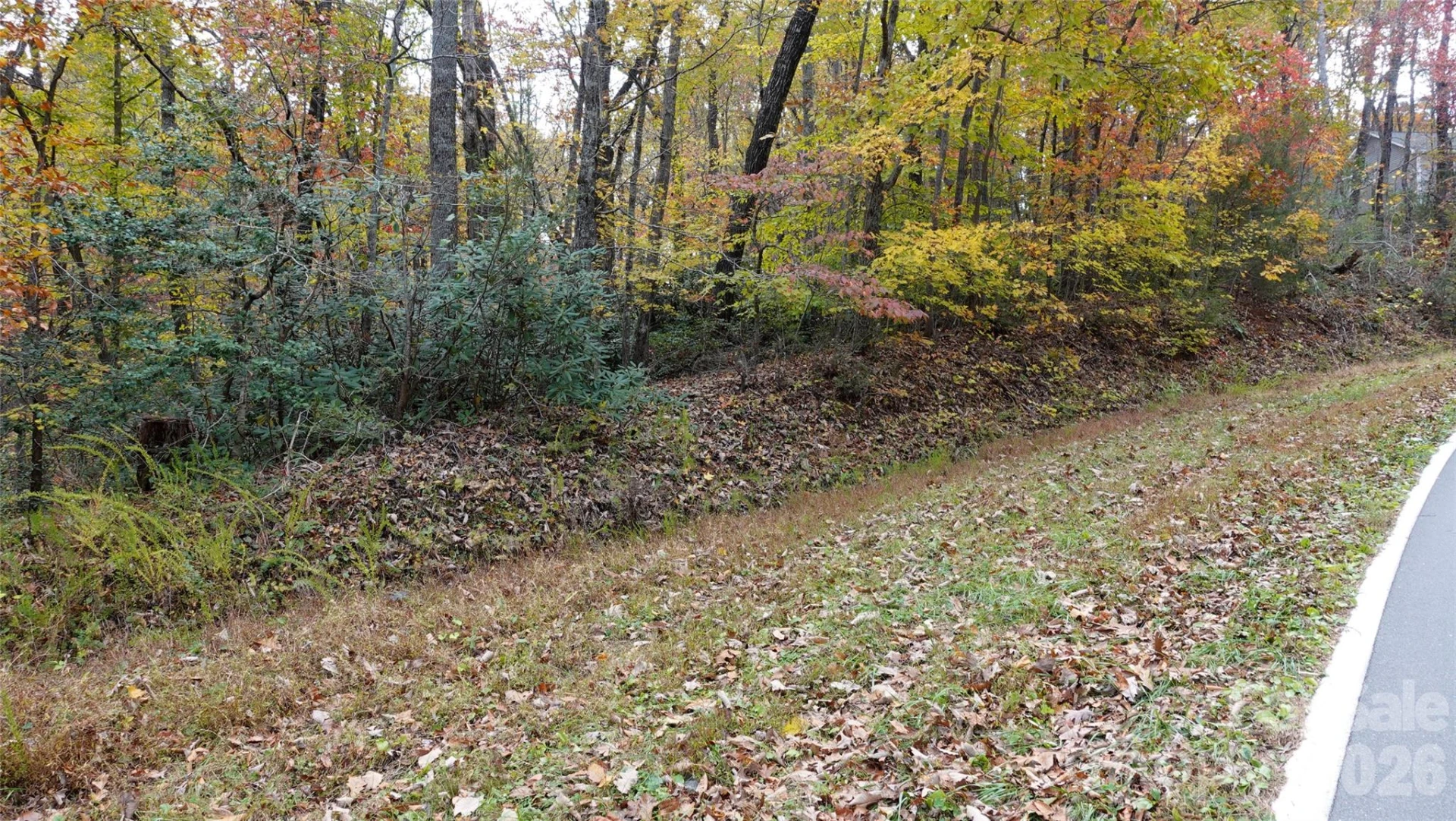 00 Lytle Mountain Road - Photo 48