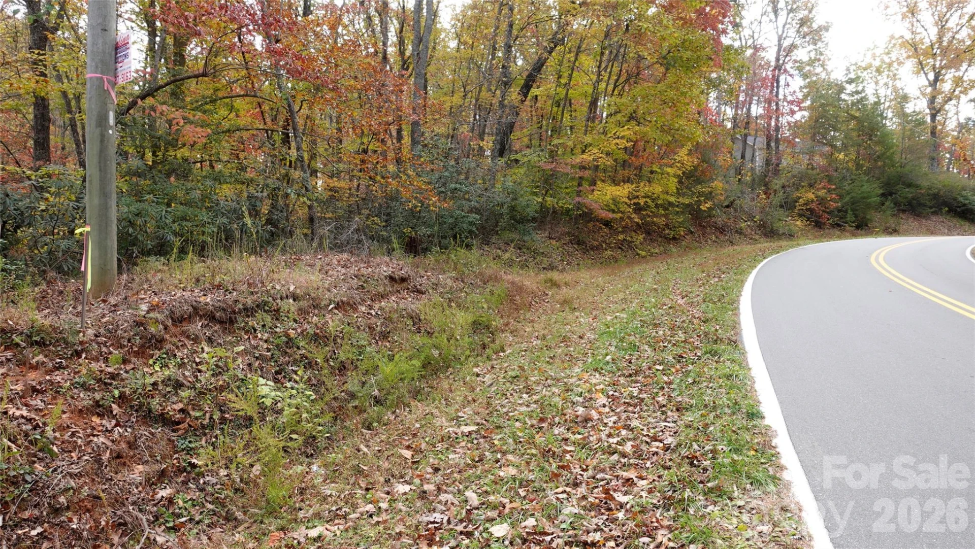 00 Lytle Mountain Road - Photo 50