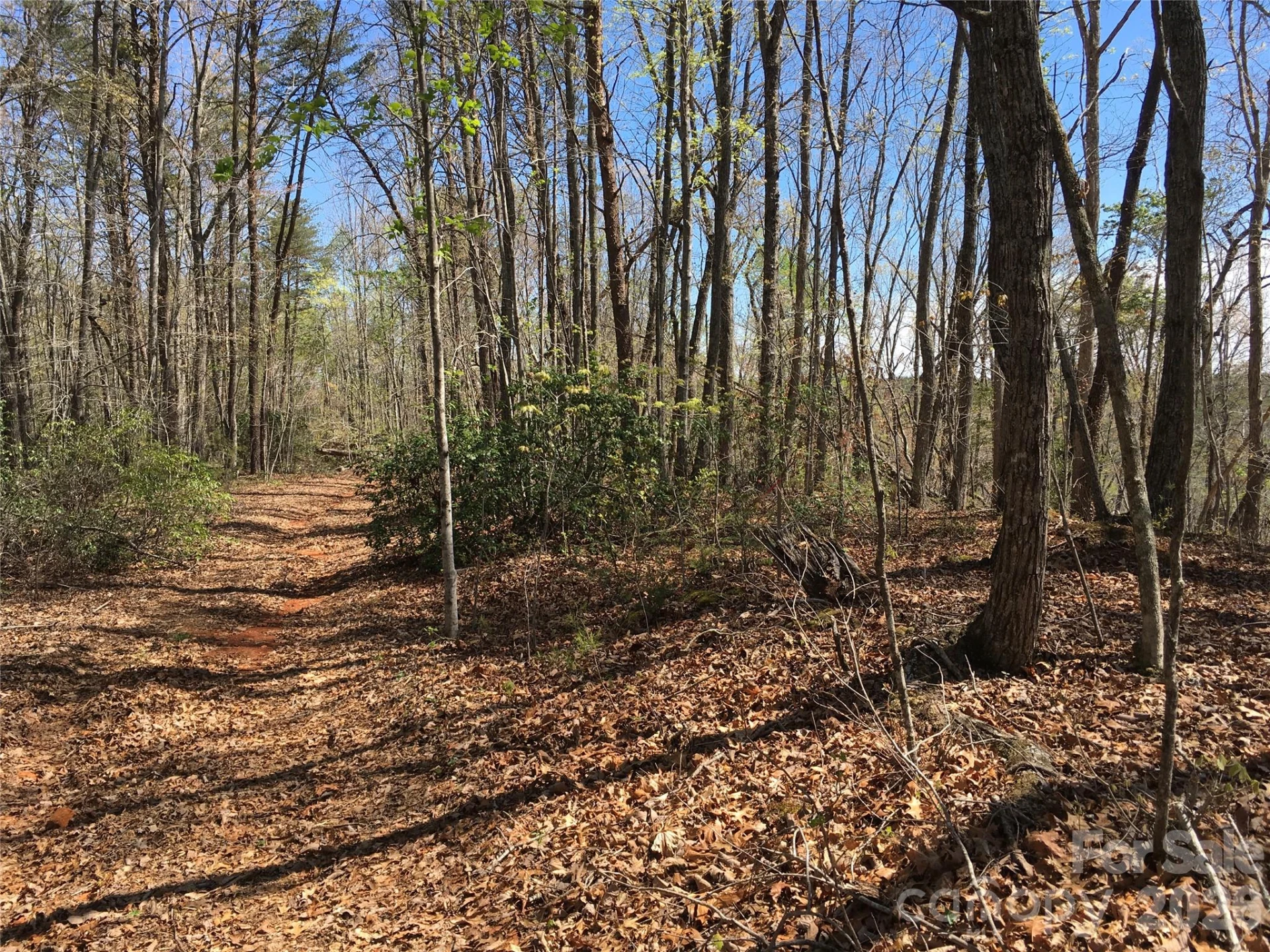 00 Lytle Mountain Road - Photo 9