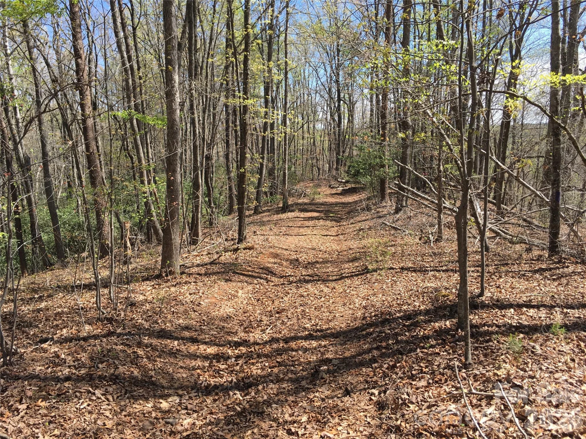 00 Lytle Mountain Road - Photo 11