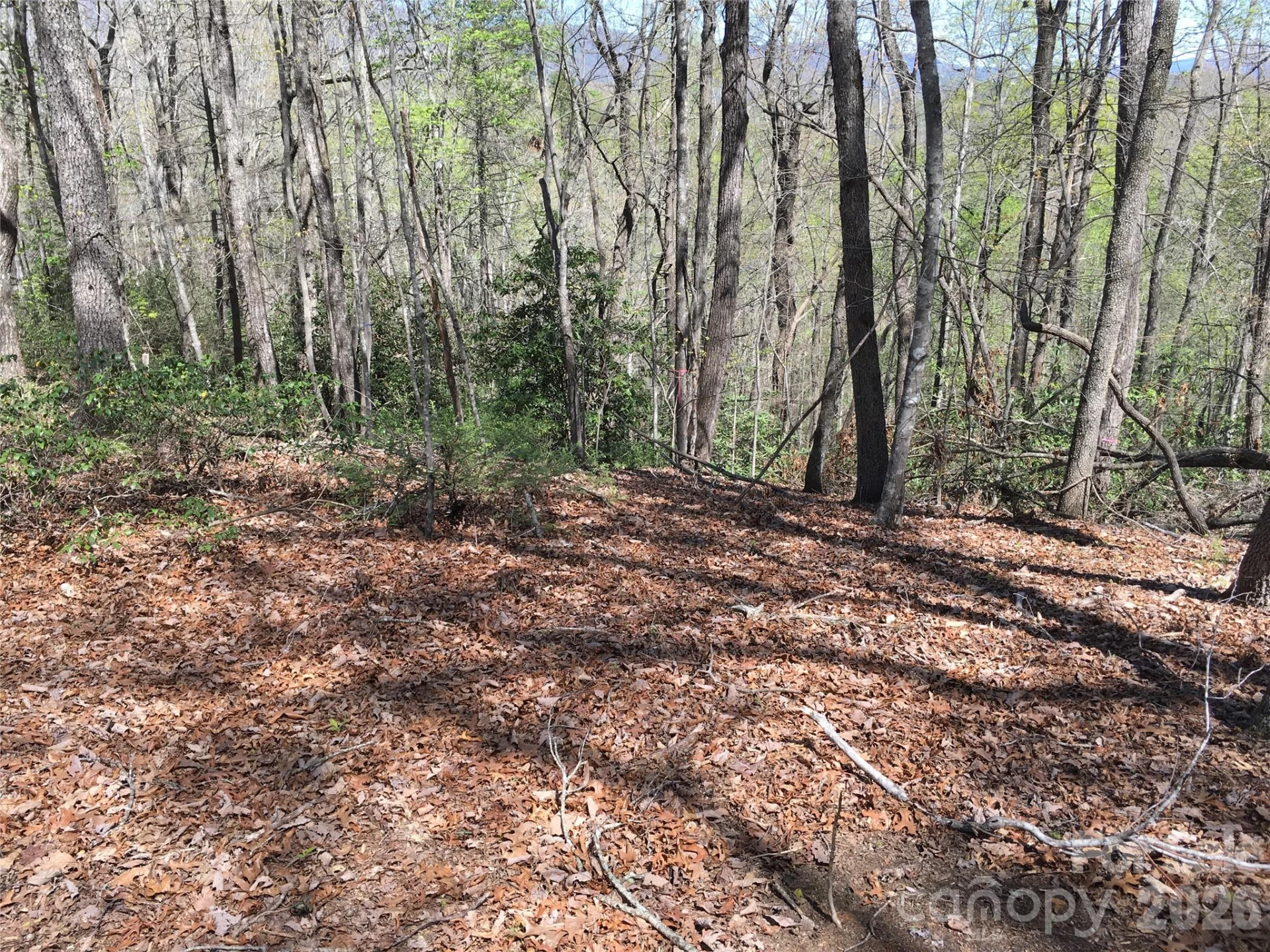 00 Lytle Mountain Road - Photo 13