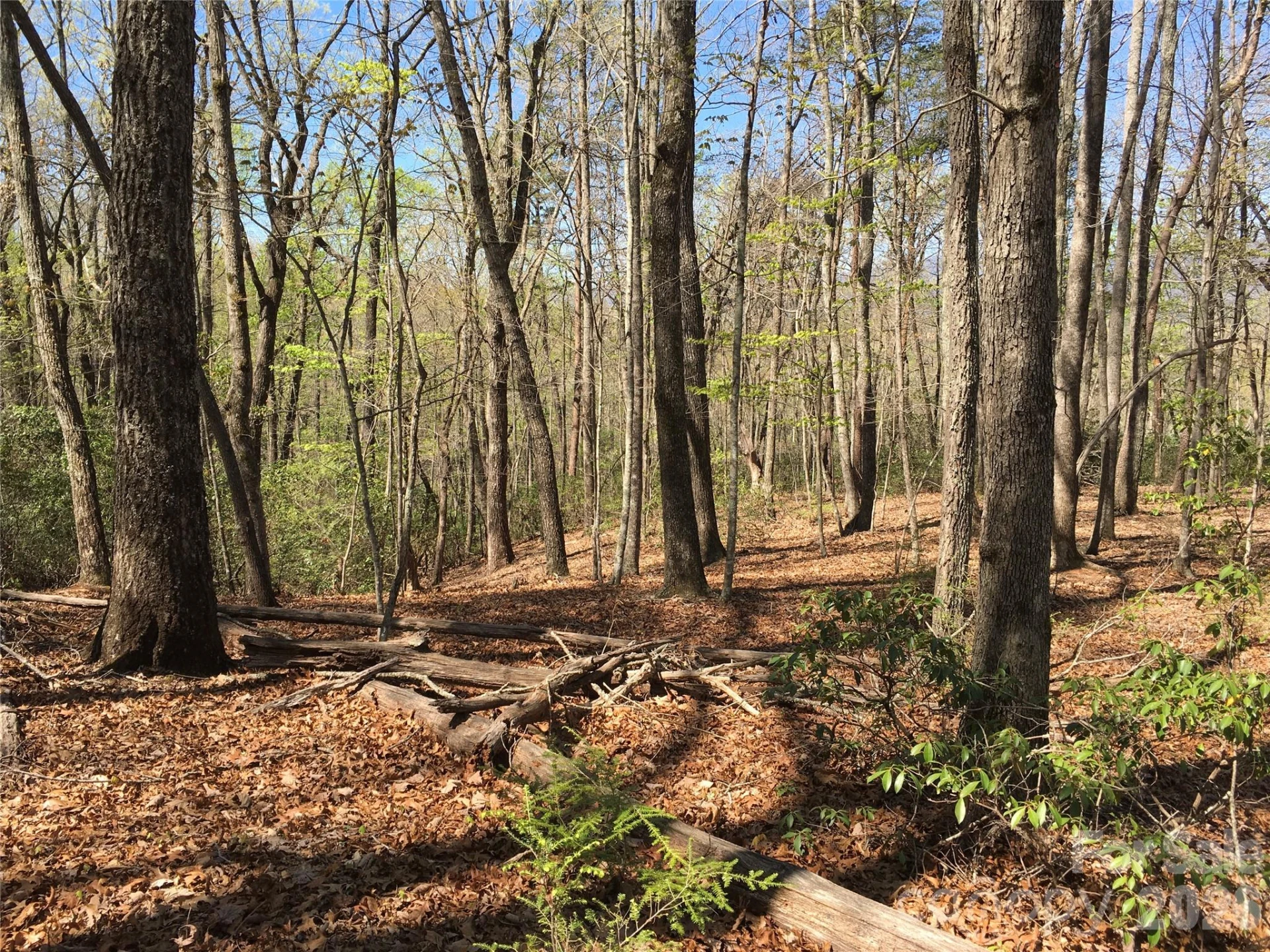 00 Lytle Mountain Road - Photo 15
