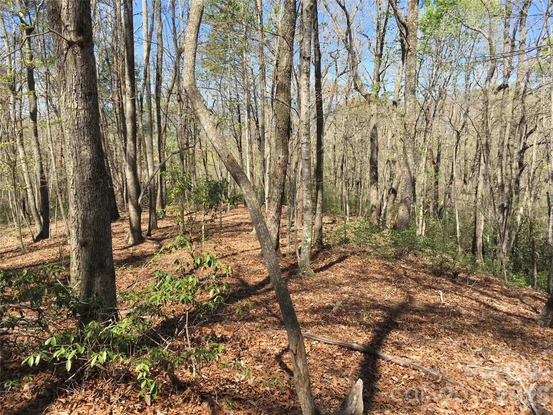 00 Lytle Mountain Road - Photo 17