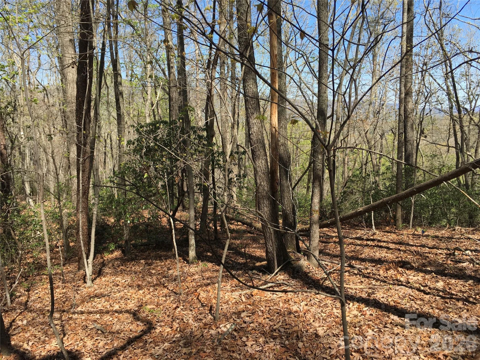 00 Lytle Mountain Road - Photo 19