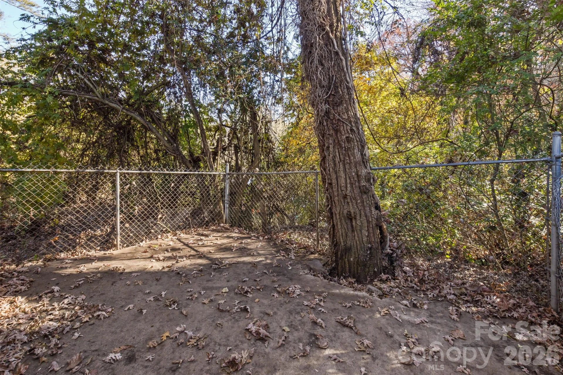 195 Terrace Drive - Photo 42