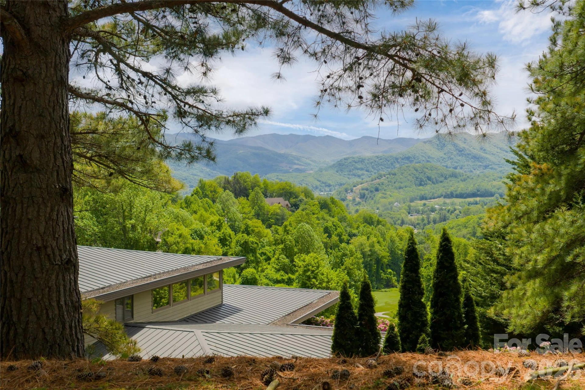 820 Laurel Ridge Drive - Photo 7