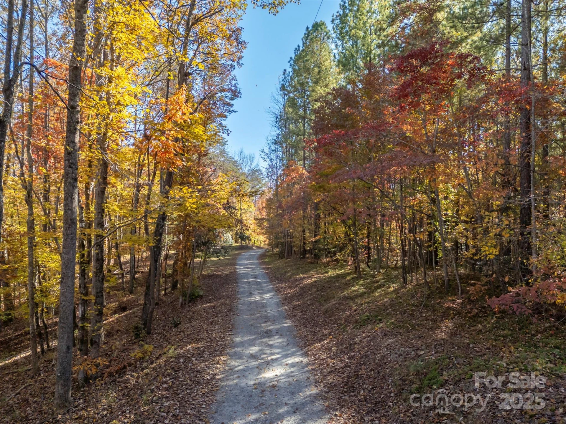 10105 NC Hwy 108 Highway E - Photo 2