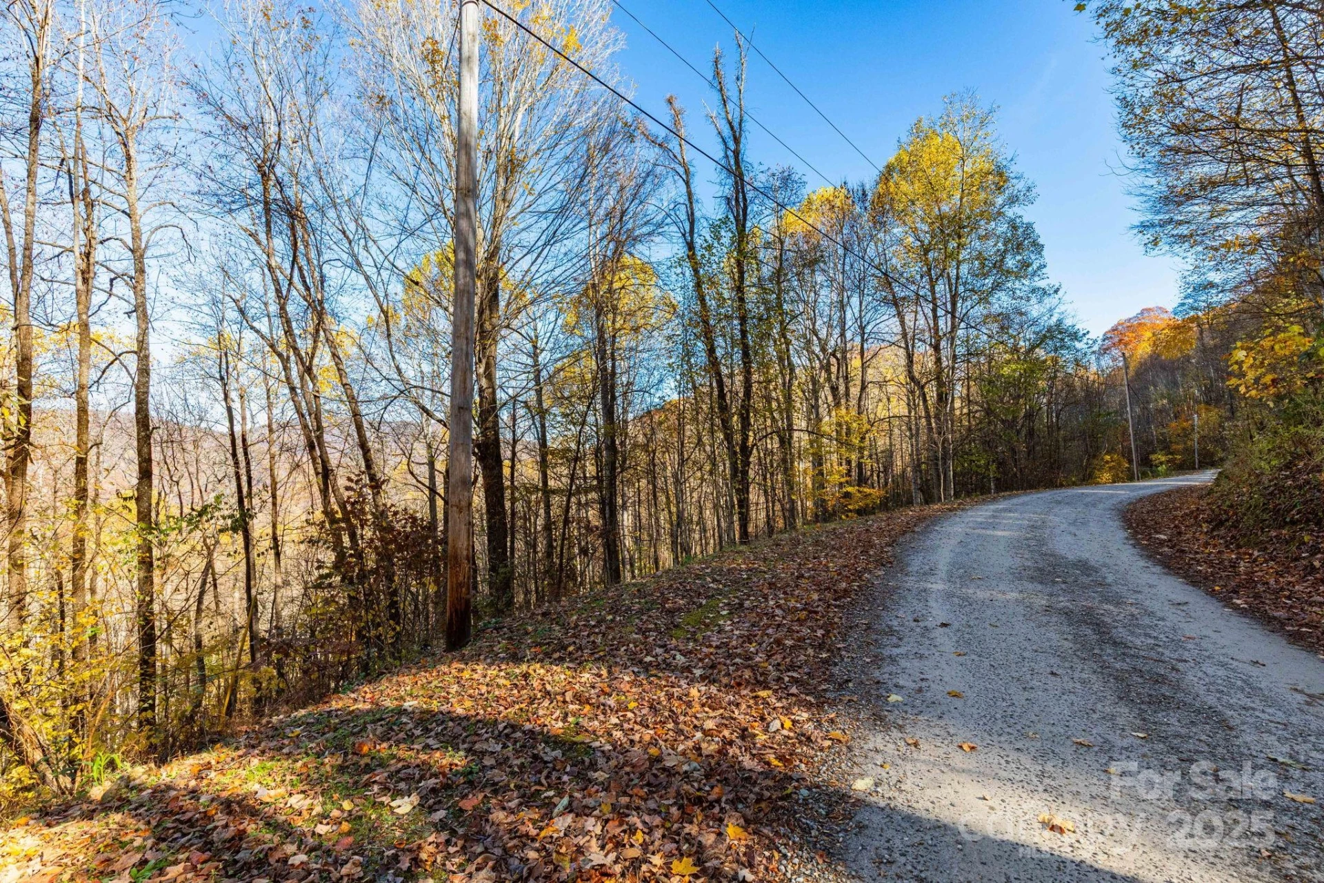 TBD Appaloosa Trail - Photo 2