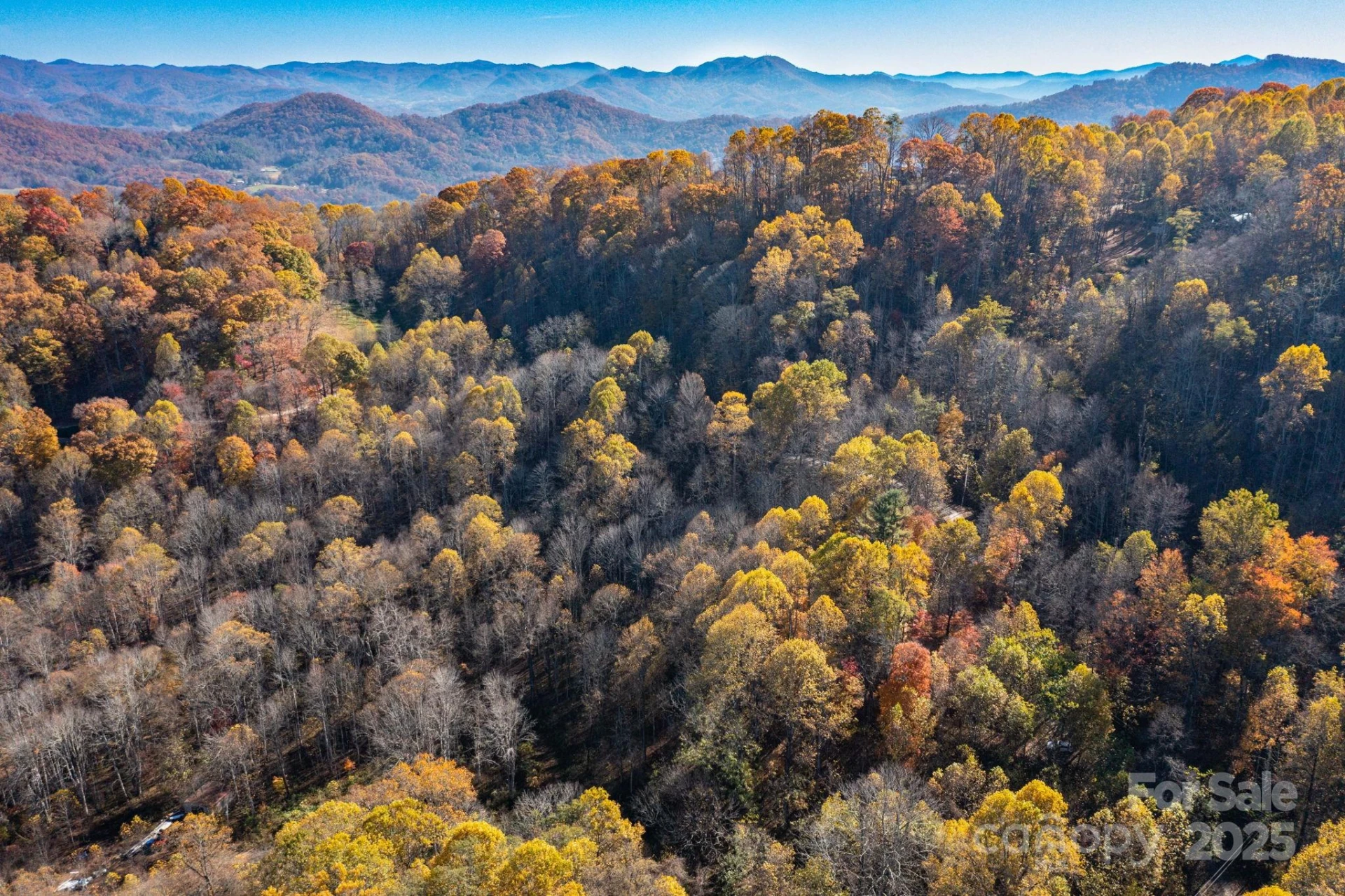 TBD Appaloosa Trail - Photo 13