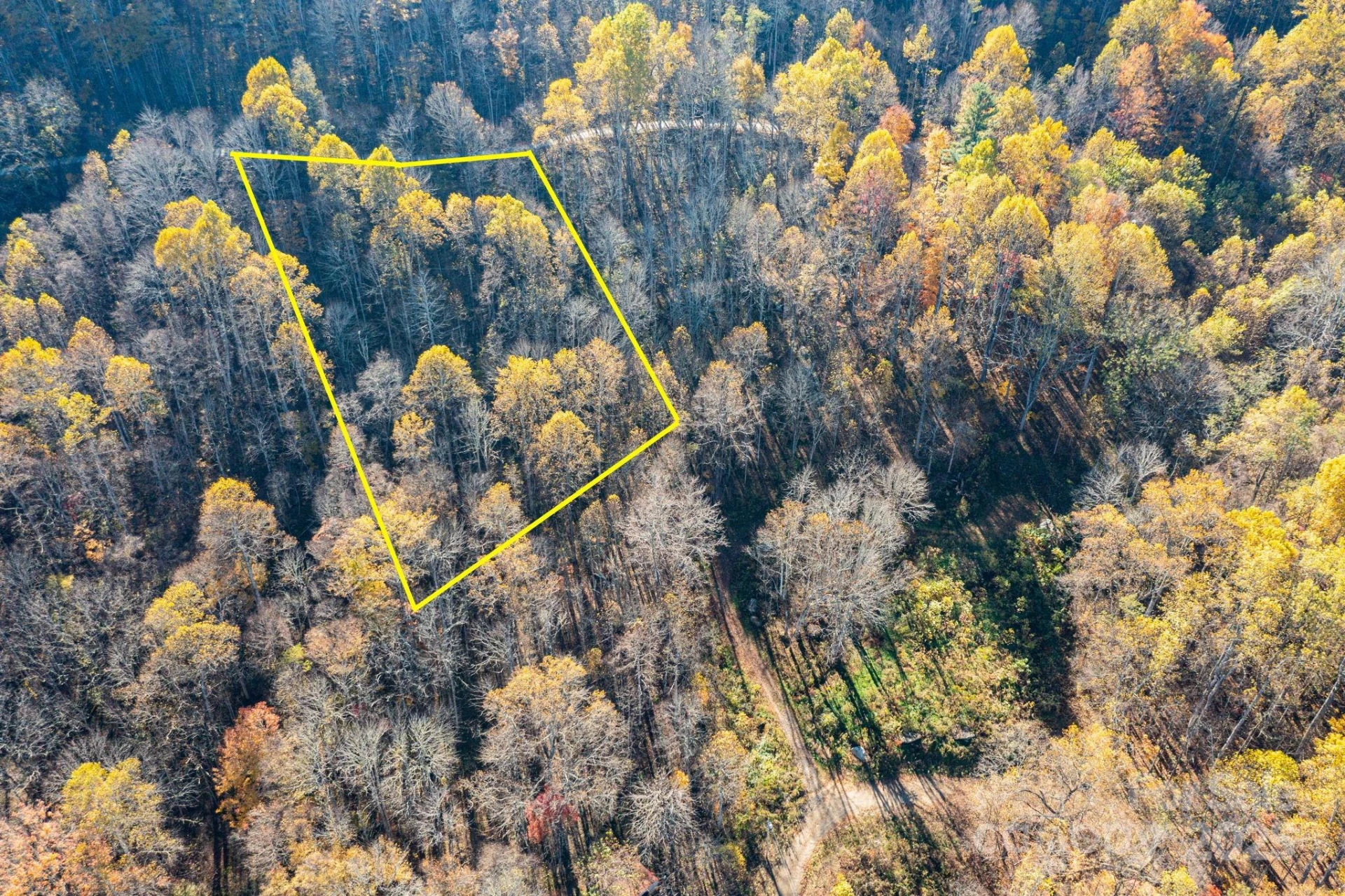 TBD Appaloosa Trail - Photo 15