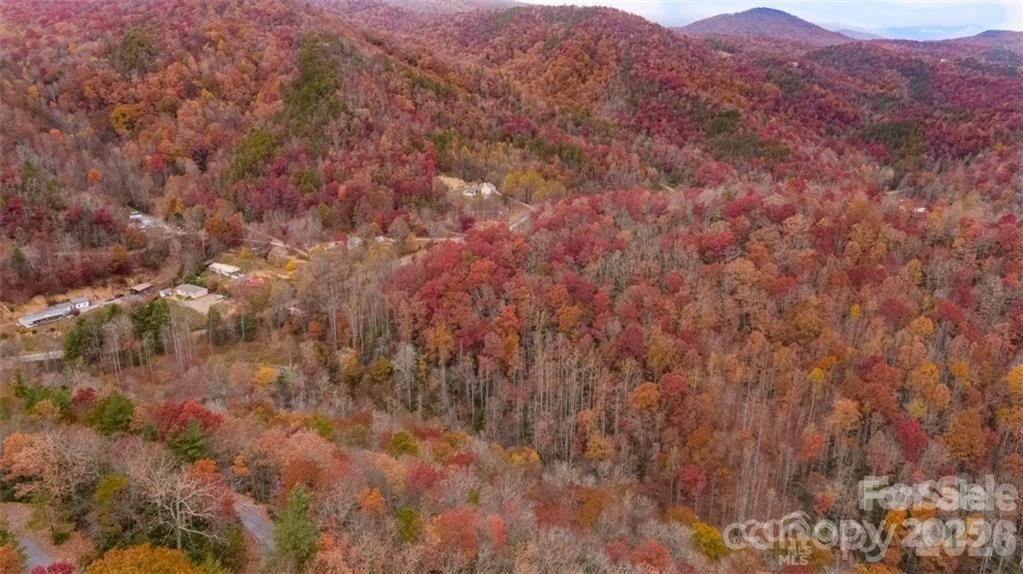 82 Davey Crockett Road - Photo 4