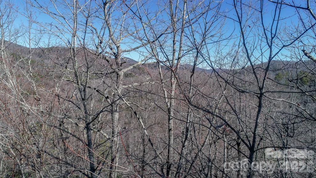 82 Davey Crockett Road - Photo 8