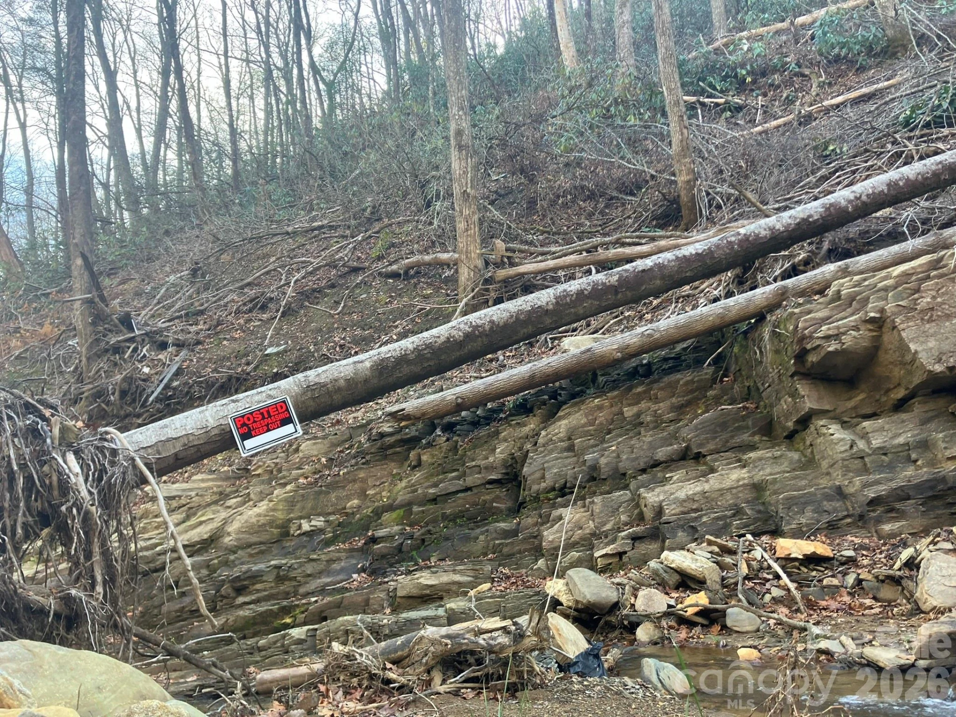 82 Davey Crockett Road - Photo 12