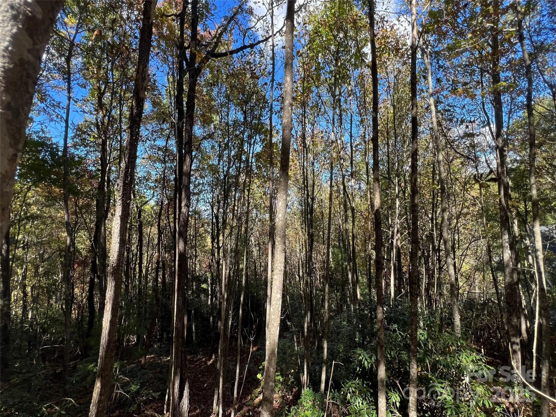 0 Wild Magnolia Way #46