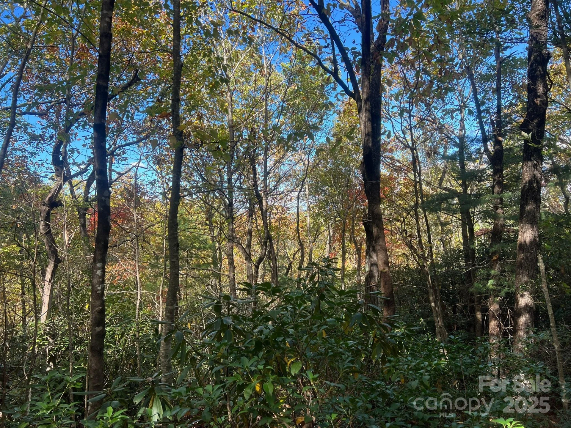 0 Wild Magnolia Way #46 - Photo 9