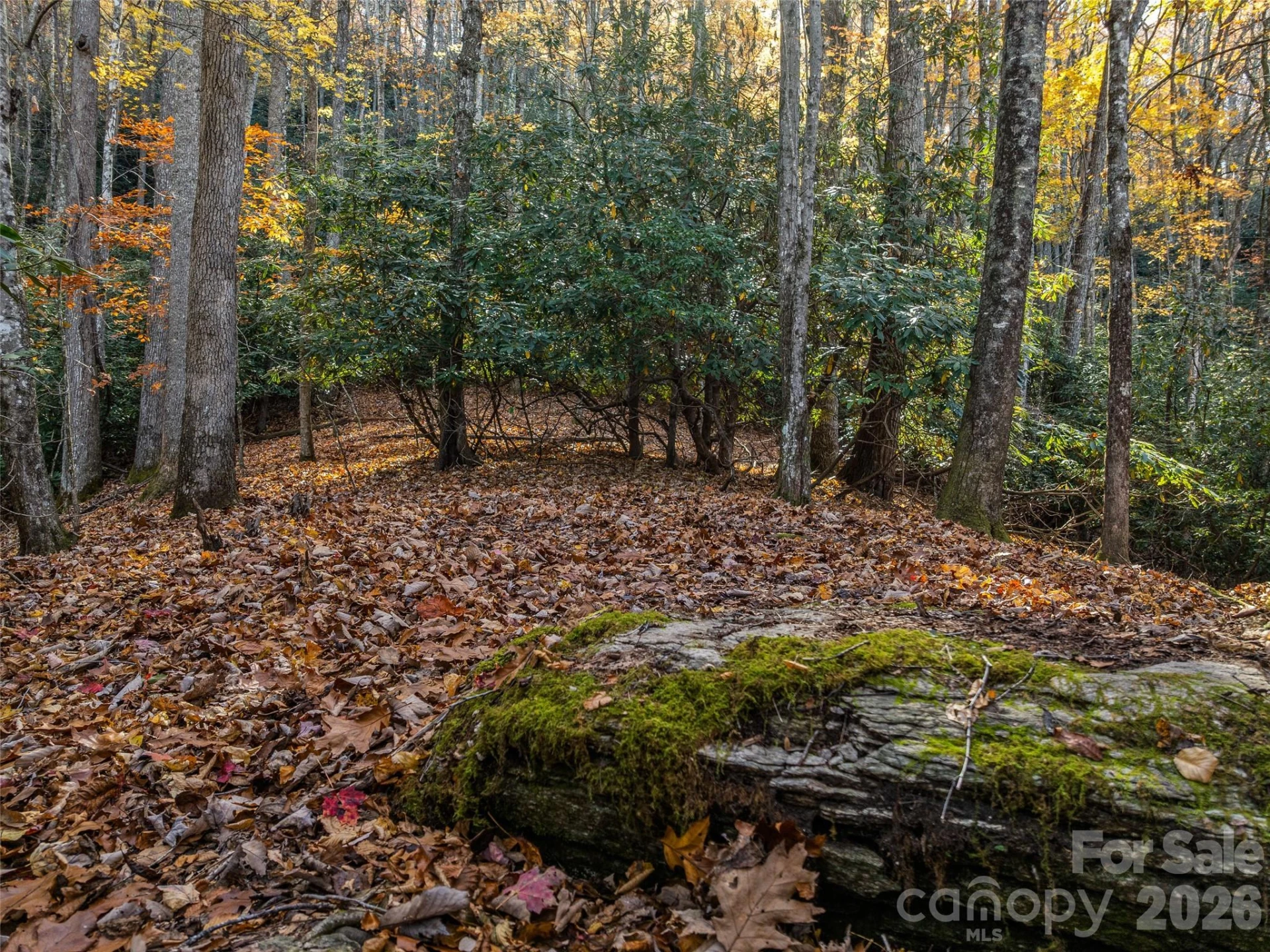 241 Skye Drive - Photo 2