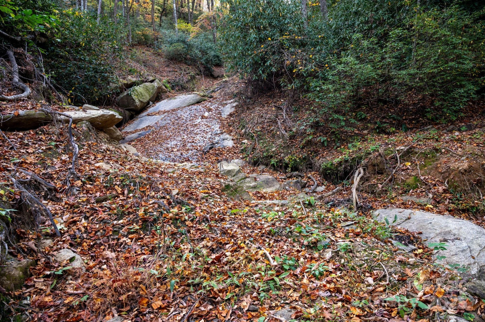 4B LOWER FLAT CREEK Road - Photo 12