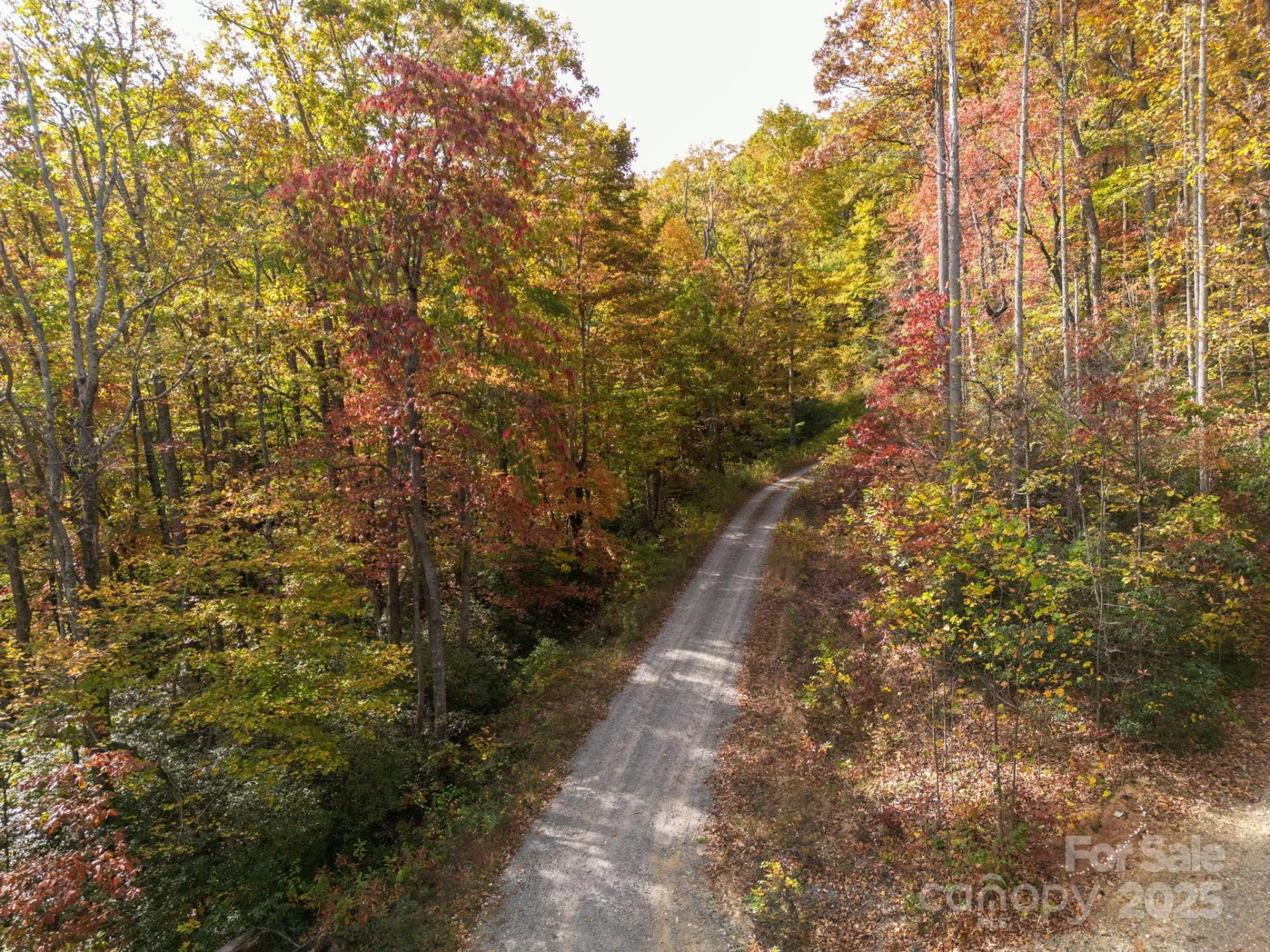 4B LOWER FLAT CREEK Road - Photo 16