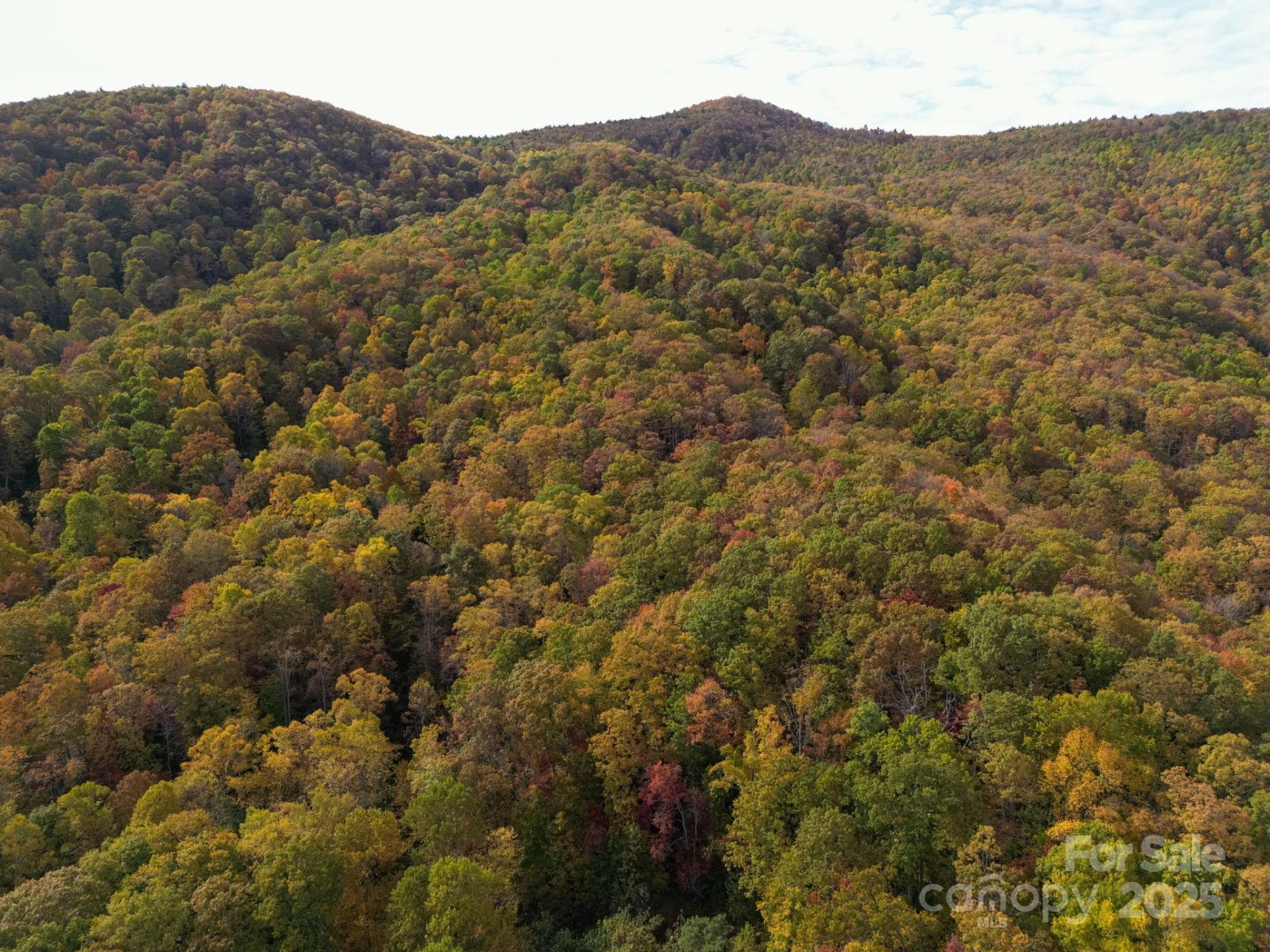 4B LOWER FLAT CREEK Road - Photo 22