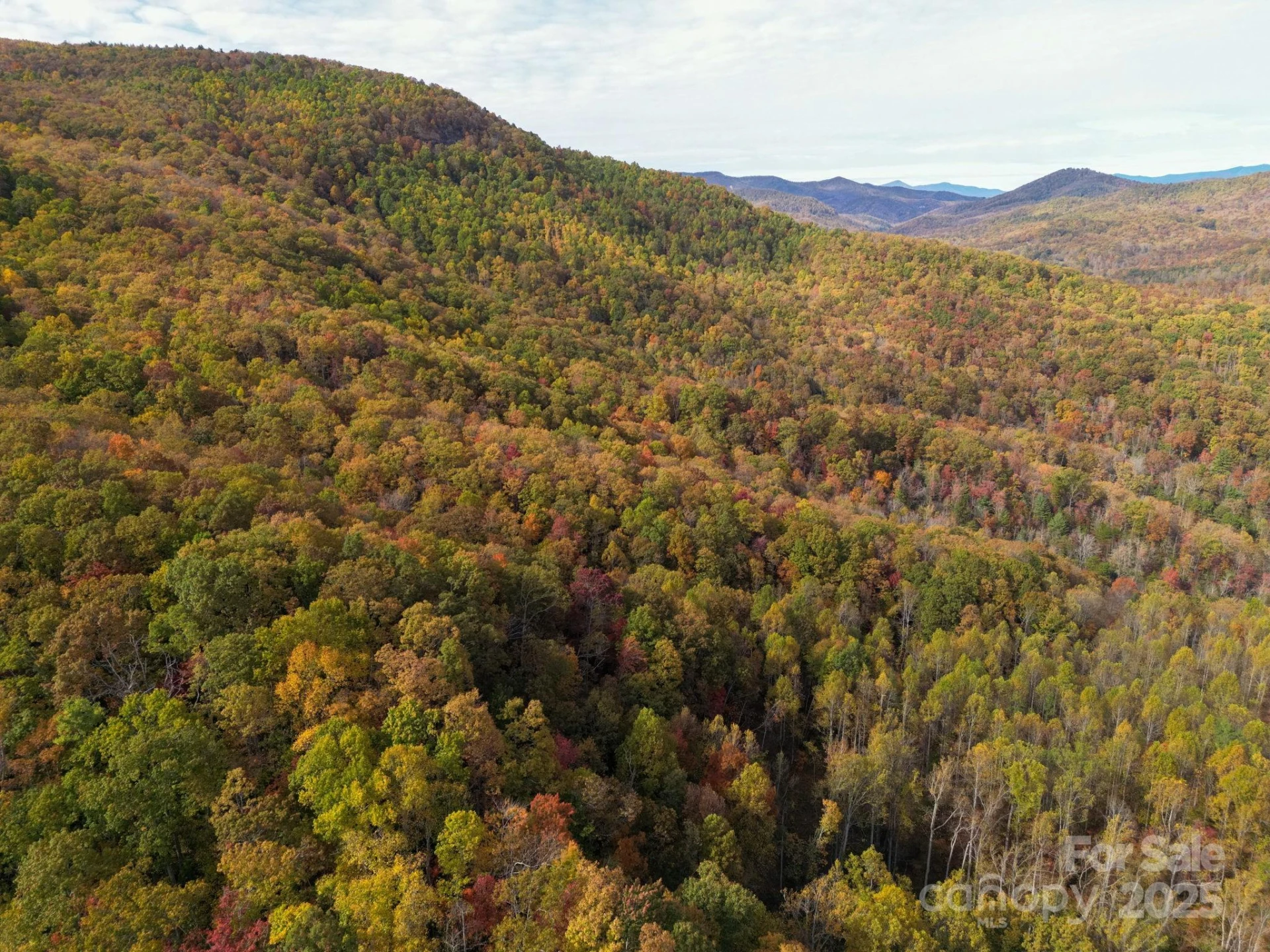 4B LOWER FLAT CREEK Road - Photo 23
