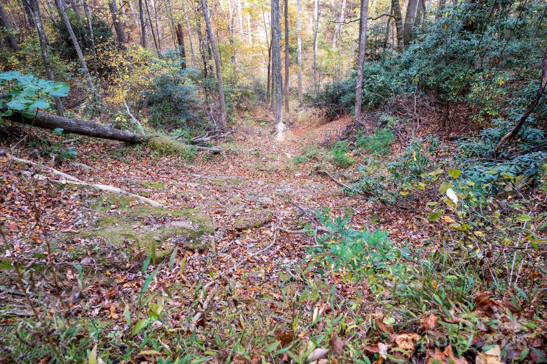 4B LOWER FLAT CREEK Road - Photo 6