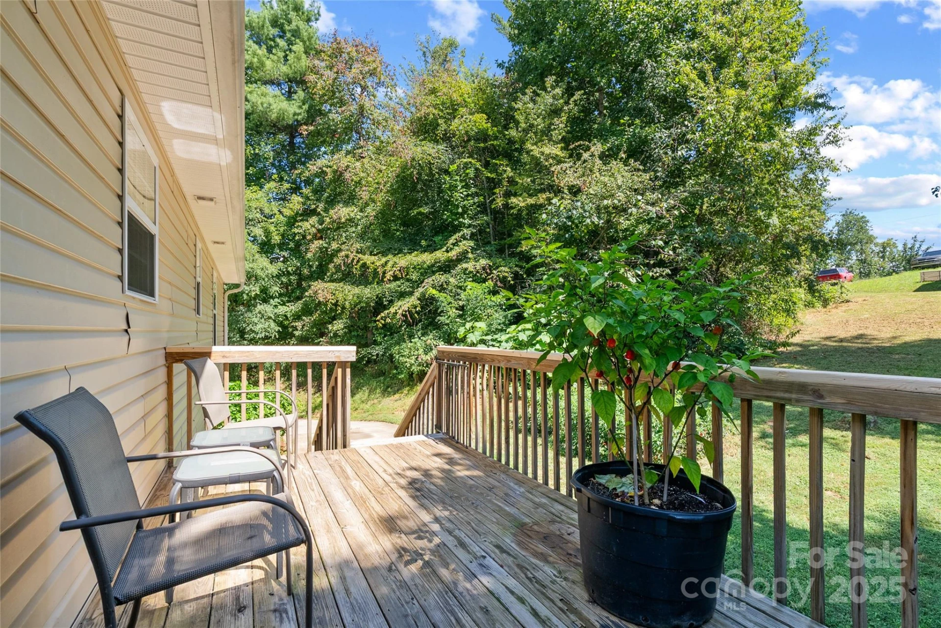 219 Old Mars Hill Highway - Photo 22
