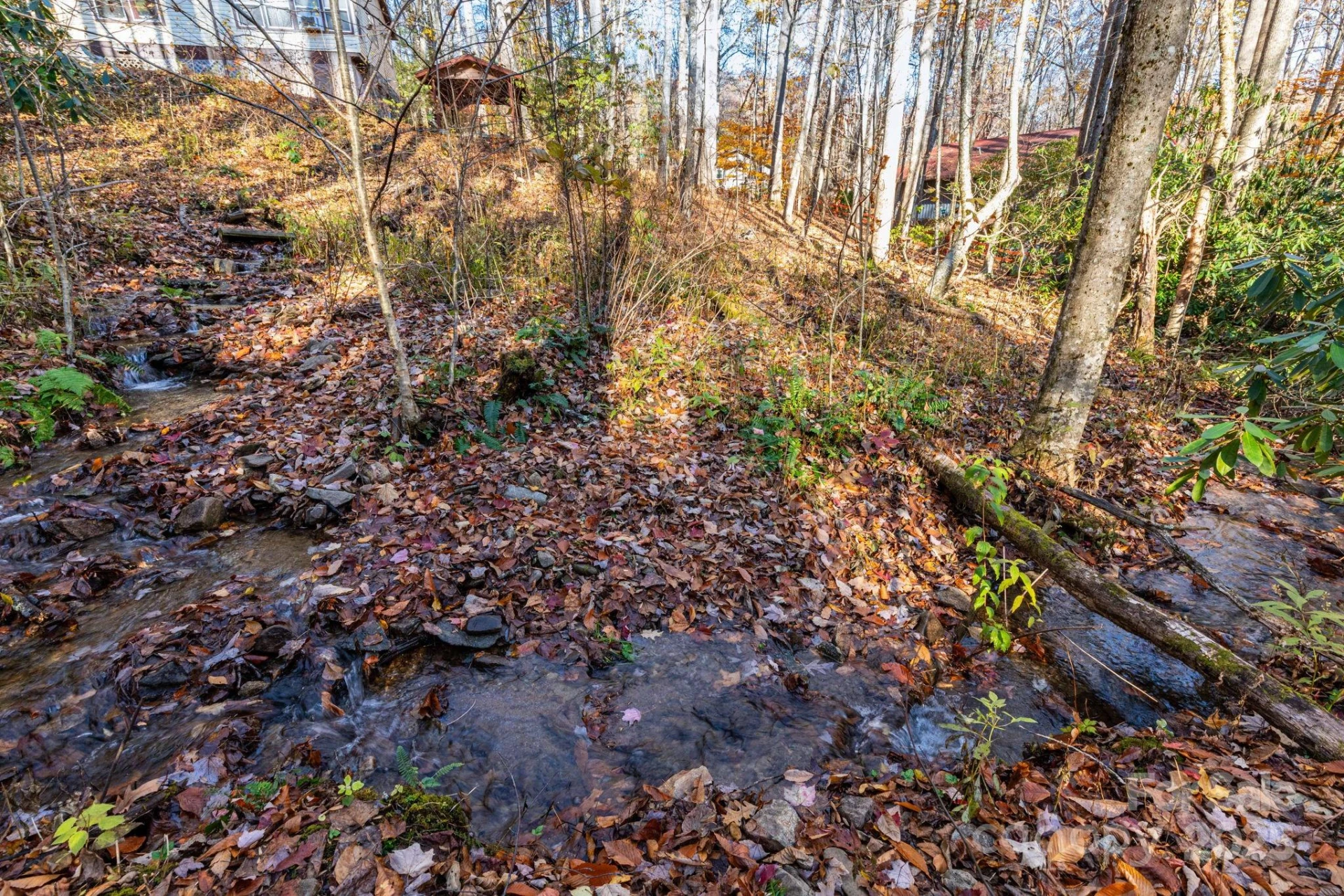 Lot 62 Twinbrook Lane - Photo 2