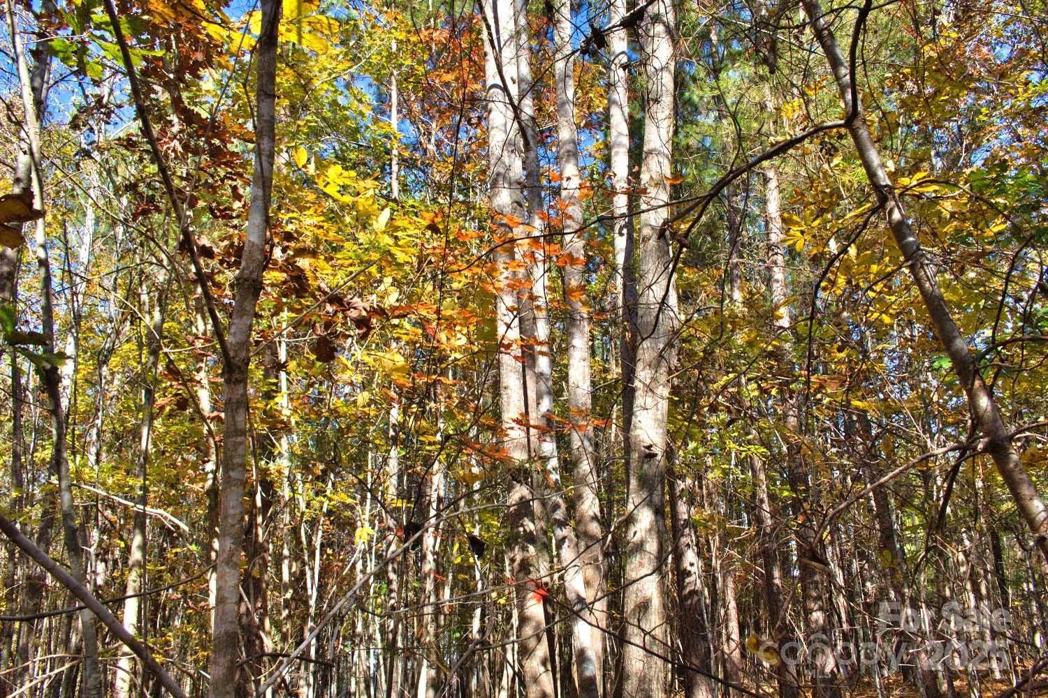 0 Creekside Circle #113 - Photo 4