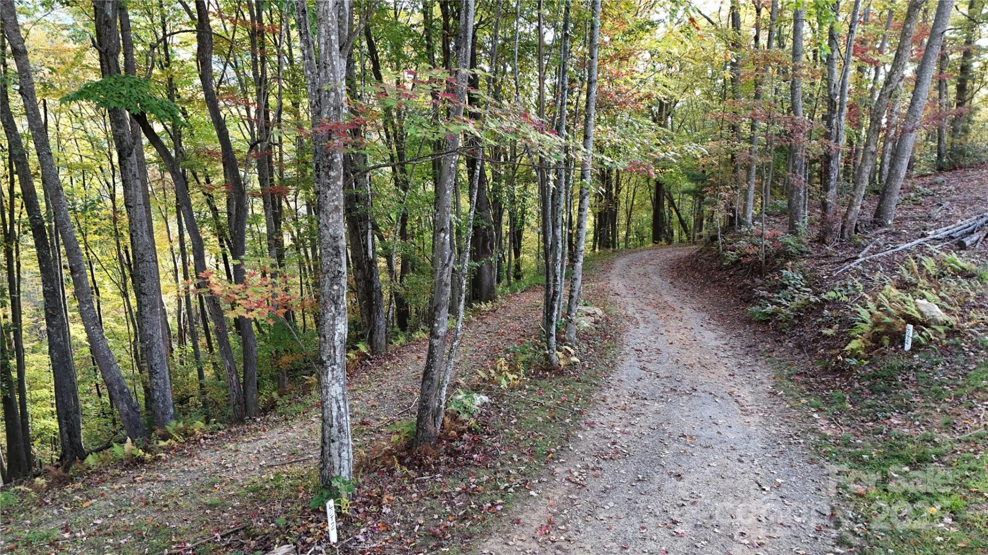 2 Roberts Mountain Road #2 - Photo 7