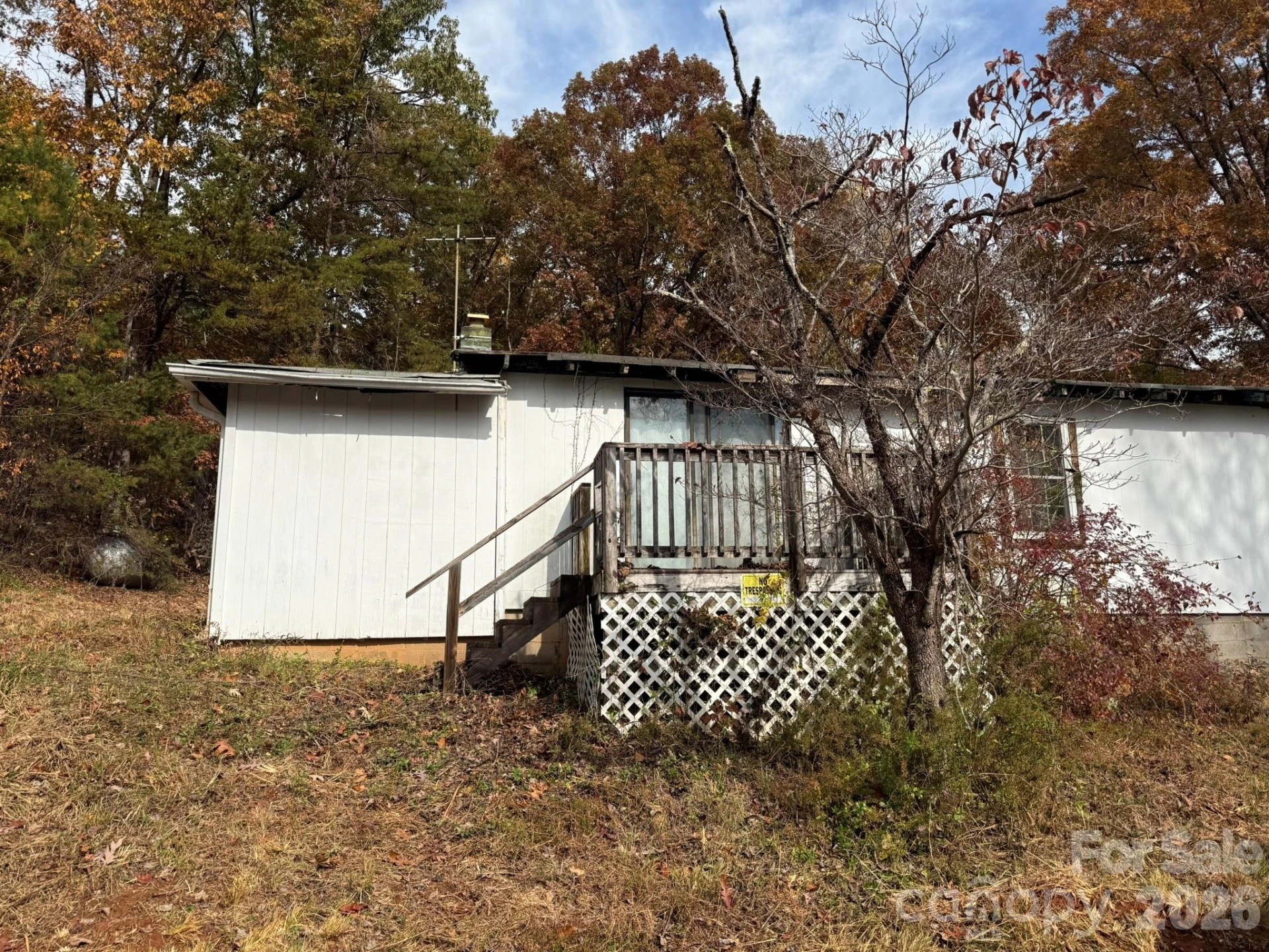 3102 Cove Road - Photo 2