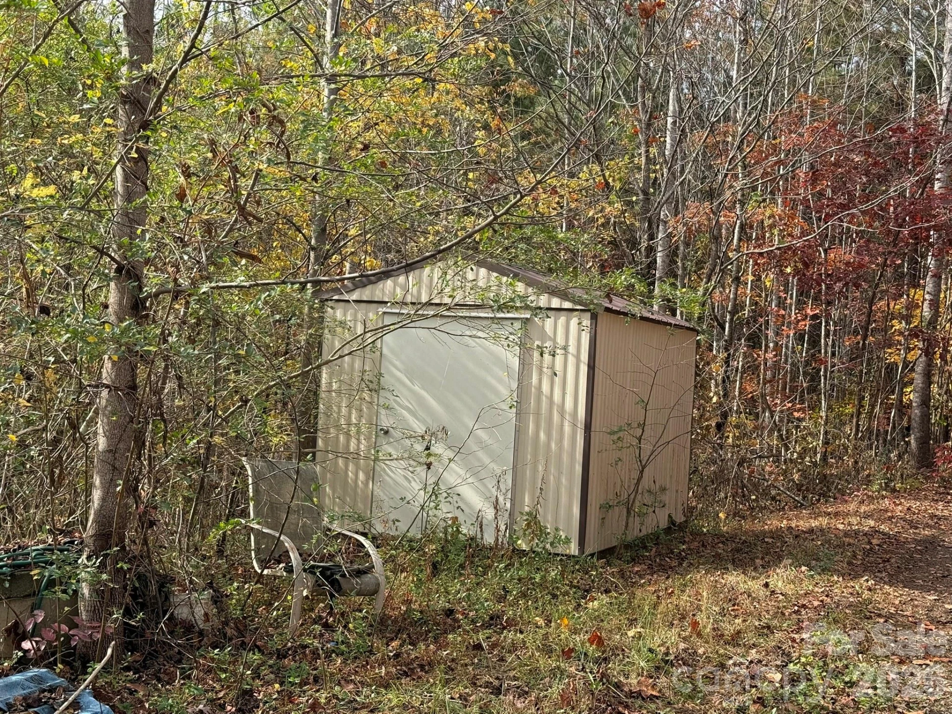 3102 Cove Road - Photo 4